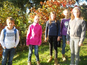 3.11.2015- Shema šolskega sadja-obisk sadovnjaka kakija in kivija na Vogrskem
