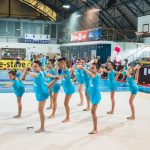 8.4.2017 – Področno tekmovanje športnih iger mladih za pokal ŠZL v ritmični gimnastiki in estetski gimnastiki