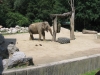 20-6-2012-3-a-v-zoo-015